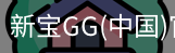 新宝GG