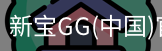 新宝GG